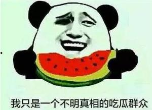 娱乐吃瓜群众一名,吃瓜群众视角下的明星幕后故事